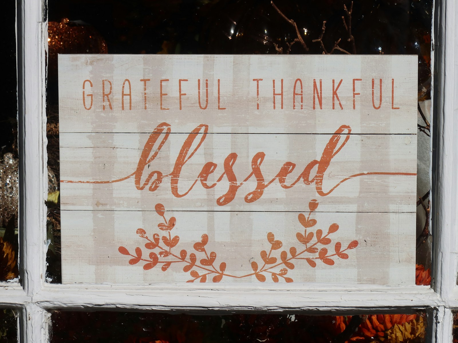 Read more about the article Being Grateful